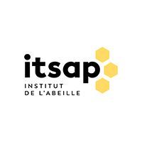 logo Itsap